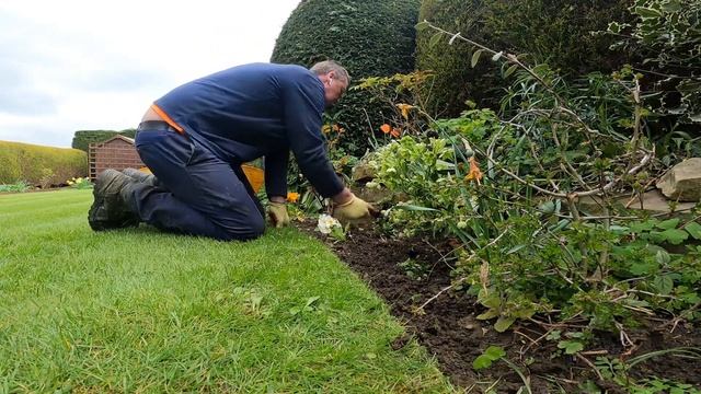 REGULAR GARDEN MAINTENANCE смотреть онлайн