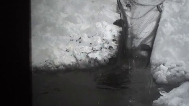 минус 45 смотреть онлайн