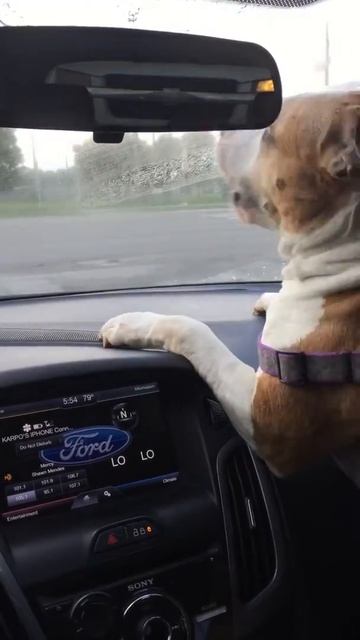 Eat the wiper смотреть онлайн