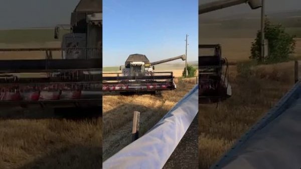 Акрос 595 plus ВЫГРУЗКА