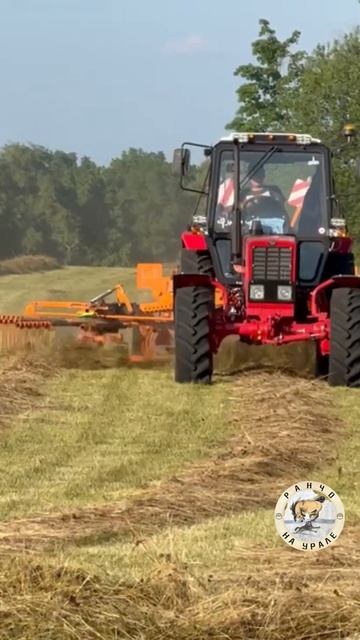 Эй Рамазан #shorts #сельскоехозяйство #сенокос2024 #рамазан смотреть онлайн