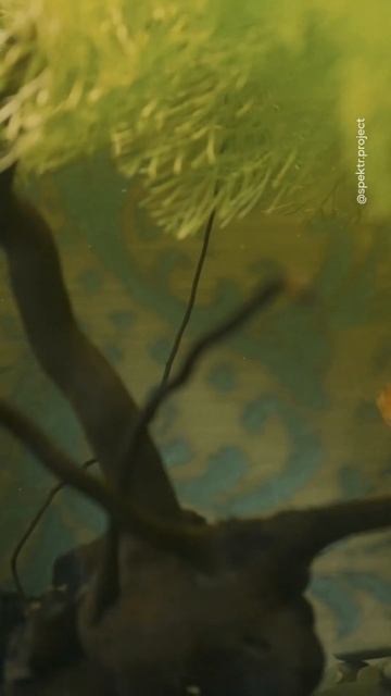 Стала мамой для всех послушниц #интервью #церковь #shorts смотреть онлайн