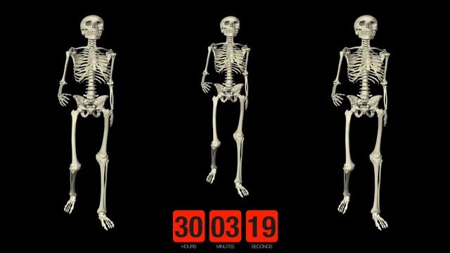 Spooky Scary Skeletons - Dead Slow Skeleton Timer 1 Hour