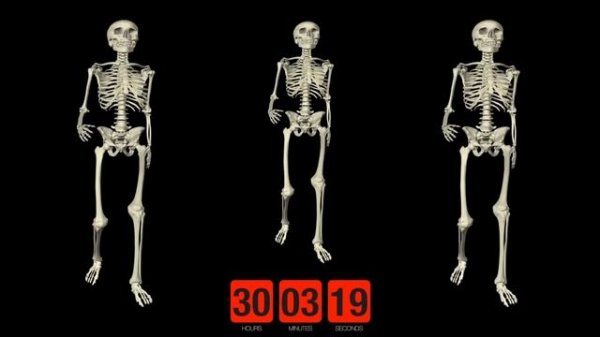 Spooky Scary Skeletons - Dead Slow Skeleton Timer 1 Hour