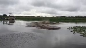 Когда пернул в воде