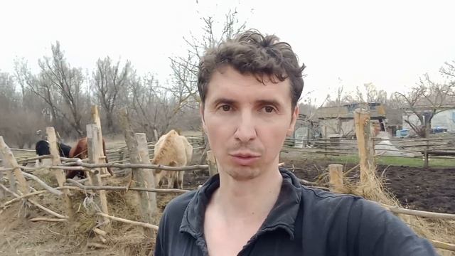 Нужно ли делать профилактику коровом на выявление болезней? смотреть онлайн