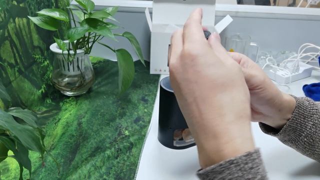 Flame Himalayan Salt Humidifier