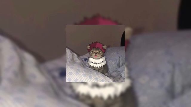 Дайте Танк (!) Утро Speed app #music смотреть онлайн