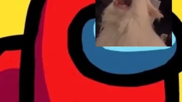 Песня Амогуса!😂😂😂