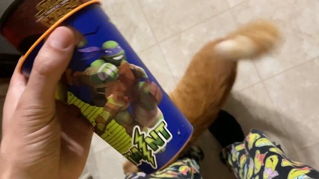 The visitor kitty gets treats! Then playtime with Bon! смотреть онлайн