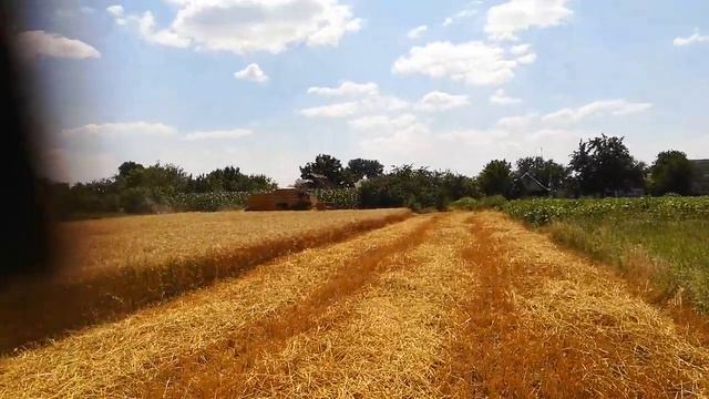 Убираем пшеницу. Сампо500 смотреть онлайн