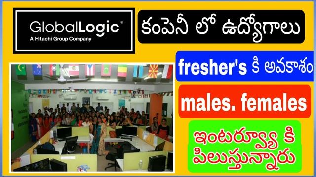 global logic company recruitment walk-in drive full information jobs openings details смотреть онлайн