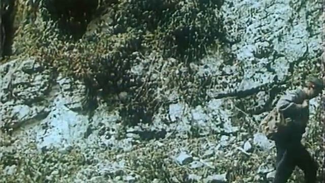 Тропой бескорыстной любви 1971