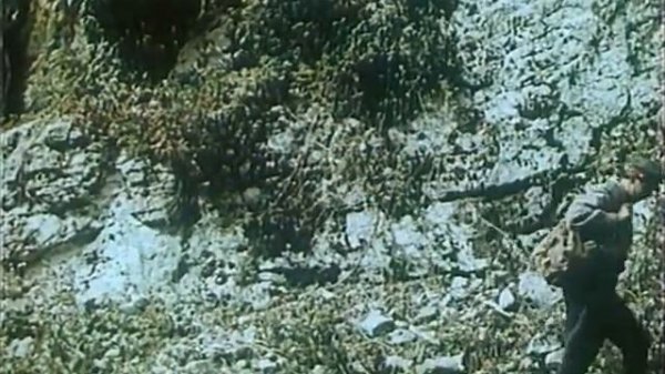 Тропой бескорыстной любви 1971