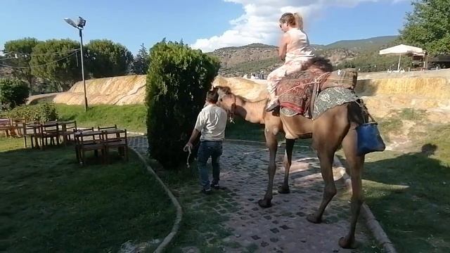 pamukkale deve turu смотреть онлайн