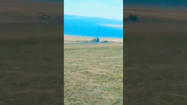 Косим сено. Трактор🚜 Т-25, и Трактор🚜 Т-40 смотреть онлайн