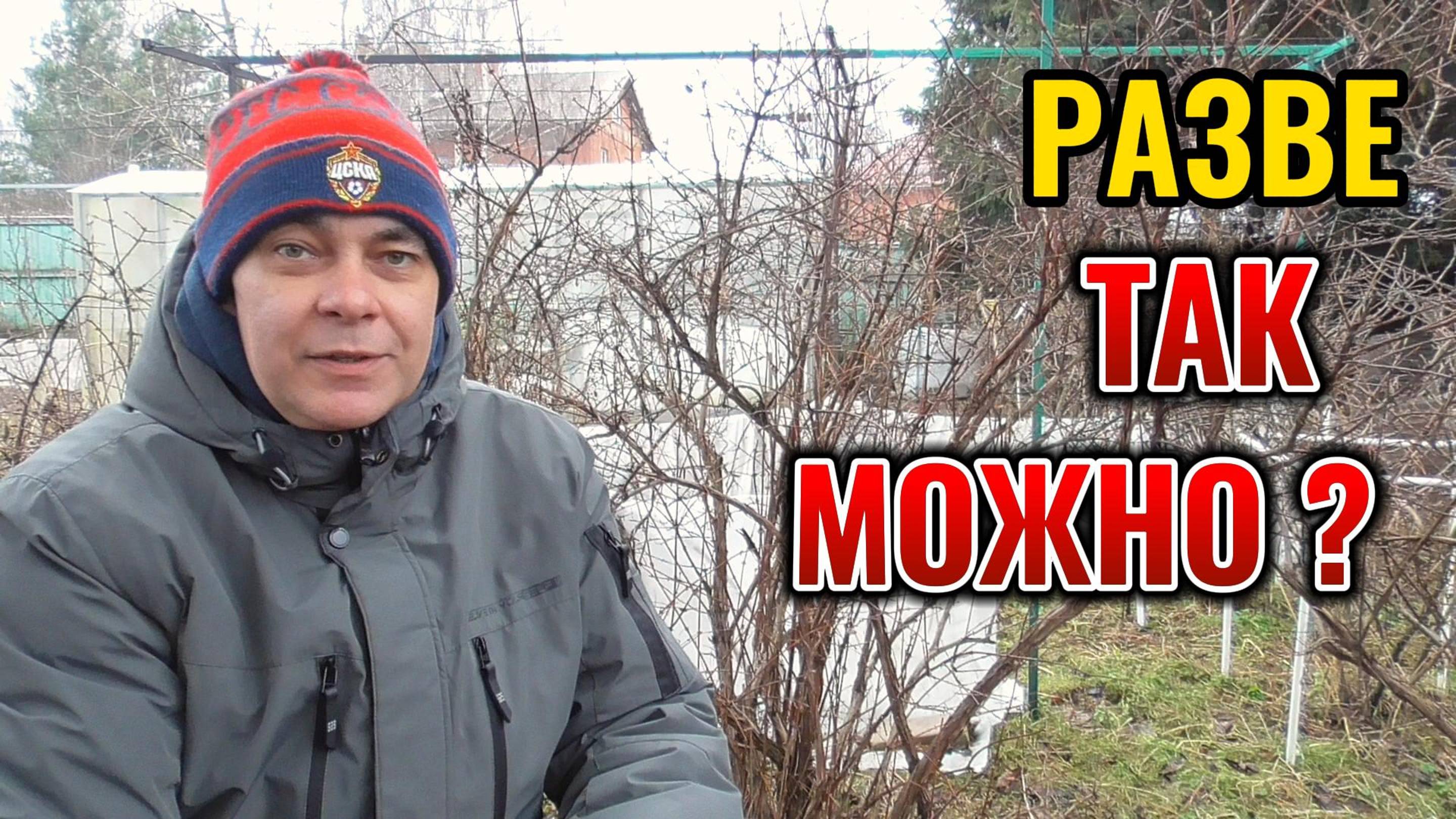 Такого еще не было! Какие растения 🌱 можно обрезать ЗИМОЙ во время 🌞 глобального потепления смотреть онлайн