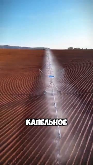 💧 Умный способ удержать воду в почве! 🌱
#агро #фермерство #орошение #экология