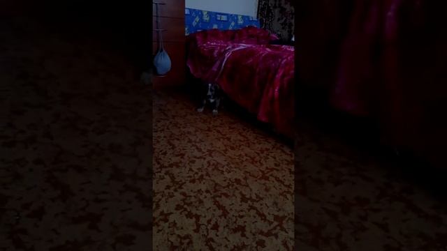 Джек и фен )28сентября 2020 г. смотреть онлайн
