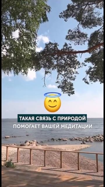 Какая функциональность террасы из лиственницы? смотреть онлайн