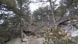 Бульдозер CAT D7 работает на опасном участке.