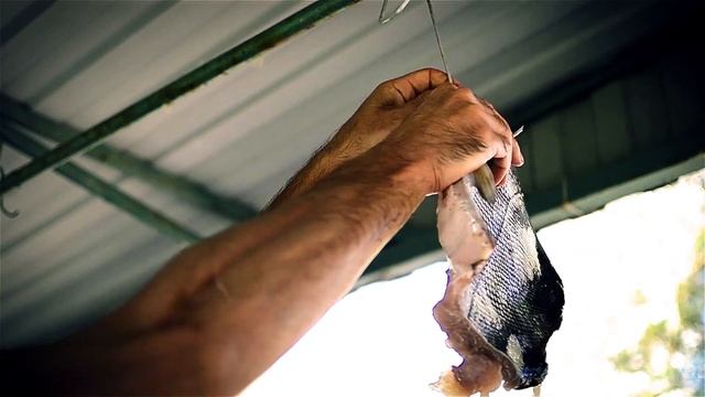 Книжная экспедиция