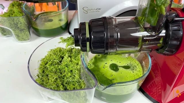 Sana EUJ 606 Test Nakładki Do Wyciskania Selera Naciowego