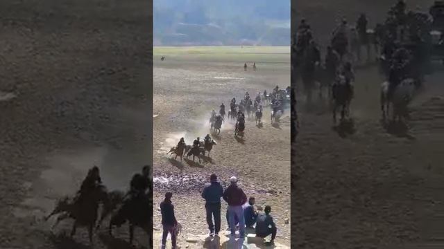 Акрам човандоз бо аспи Саёд човандоз асп до номи Лазер смотреть онлайн