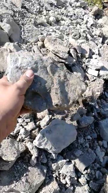 Копал траншею - нашёл клад. смотреть онлайн