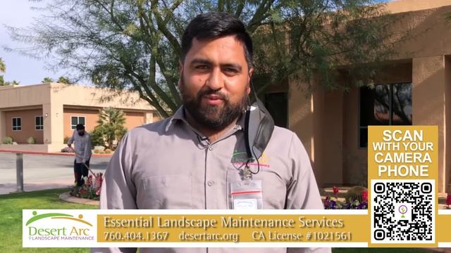 Desert Arc Essential Business Services Landscape смотреть онлайн