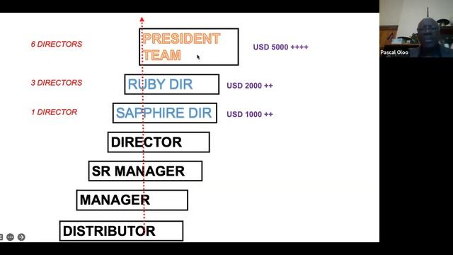 NEOLIFE BUSINESS PRESENTATION WITH PASCAL OLOO & NEW DIRECTOR - CATHERINE MACHARIA смотреть онлайн