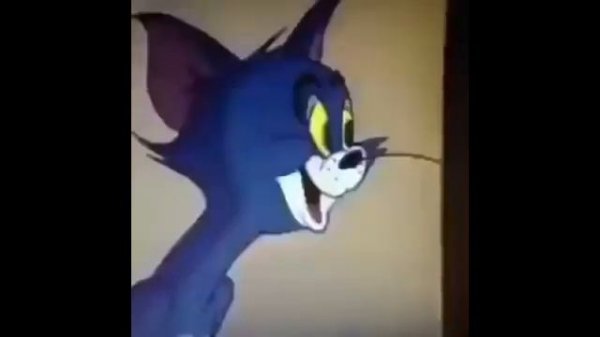 1 час смех тома