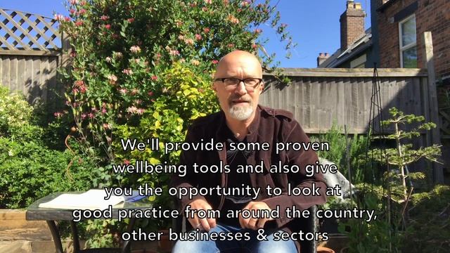 Three Wellbeing Tools For Small & Medium Sized Businesses And Organisations