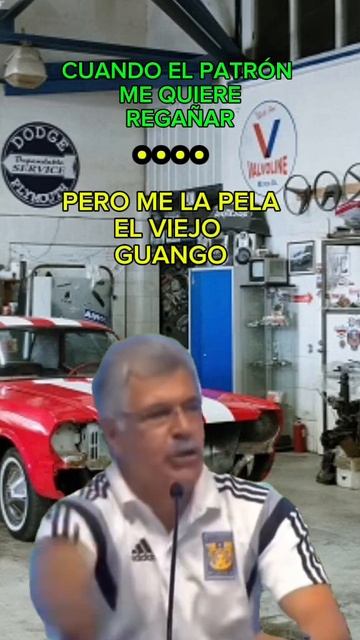 CUANDO TE QUIERE REGAÑAR EL PATRÓN смотреть онлайн
