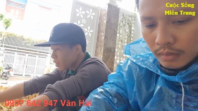 #670 Hải cùng A Thái chồng Hạnh đã vượt 200 km để mua hàng tấn SÂM giải cứu giúp bà con. смотреть онлайн