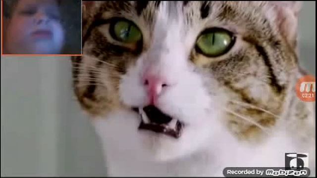 Reverse Китикет Реклама смотреть онлайн