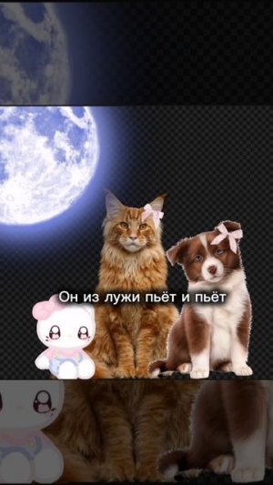 Пою песню как вам?)