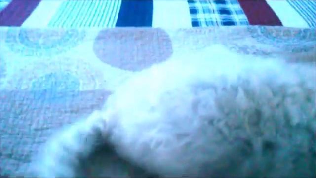 Dad's Home From Business Trip смотреть онлайн