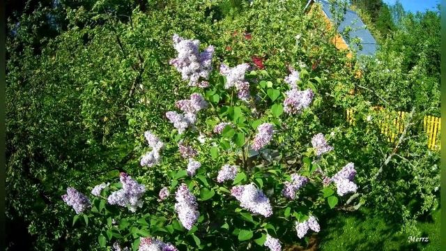 Последние мгновенья весны смотреть онлайн