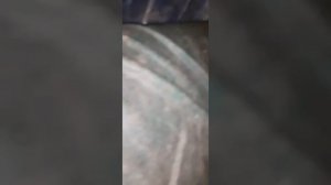 Перевозка двух телят в ваз 2107