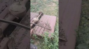 Роторная косилка на минитрактор из моста ВАЗ своими руками