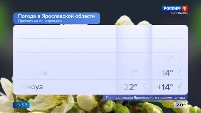 Утренняя региональная врезка (ГТРК Ярославия, 22.05.23, 8:35)