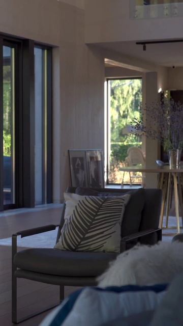 Говорим о зональности дома и естественном свете, интервью с клиентом смотреть онлайн