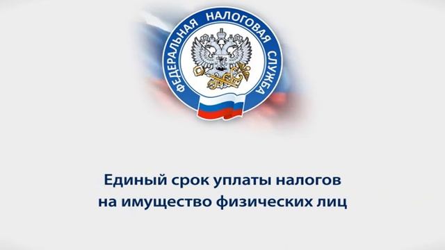 Имущественные налоги - срок 1 декабря - ИФНС Киров смотреть онлайн
