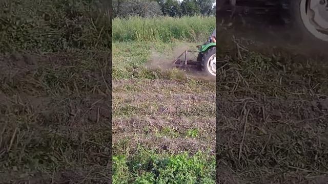 Мотыли сбиваю ботву(1) смотреть онлайн