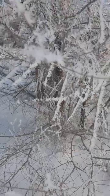 ❄🌬🌤🌞🌈 Зима встречается с весной. Чувствуете приближение весны?Winter meets spring. смотреть онлайн