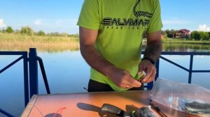 Покупка и обзор нового ружья от MPD Salvimar Predathor Vuoto 65