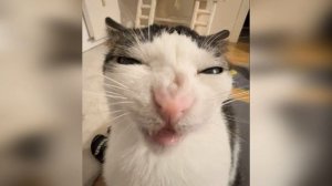 Игорь Желудок-не первая и не последняя!