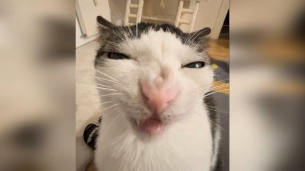 Игорь Желудок-не первая и не последняя!