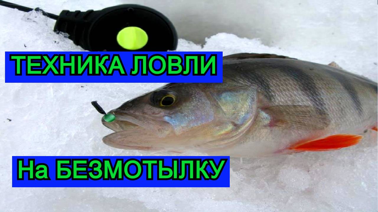 Техника Ловли на БЕЗМОТЫЛКУ смотреть онлайн